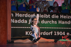 1_1.KG_Situng-2020_073