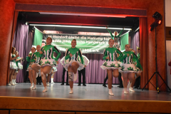 Prinzenparty-2019-185