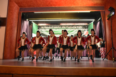 Prinzenparty-2019-252