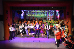 Prunksitzung-2020_152