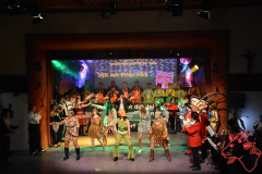 Prunksitzung-2020_156