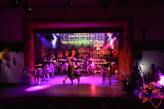 Prunksitzung-2020_172