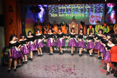 Prunksitzung-2020_181