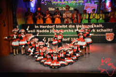 Prunksitzung-2020_187