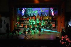 Prunksitzung-2020_233