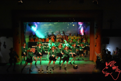 Prunksitzung-2020_234