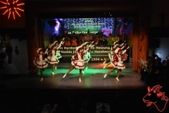 Prunksitzung-2020_285