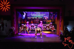 Prunksitzung-2020_287