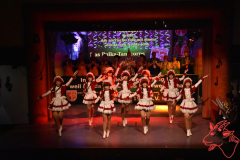 Prunksitzung-2020_290