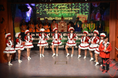 Prunksitzung-2020_295