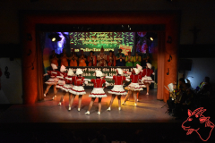 Prunksitzung-2020_305