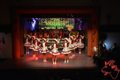 Prunksitzung-2020_307