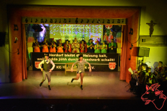 Prunksitzung-2020_371