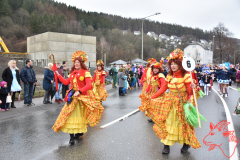 Rosenmontag2020_111