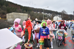 Rosenmontag2020_164