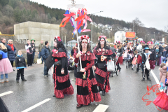 Rosenmontag2020_218