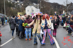 Rosenmontag2020_253