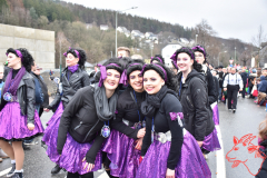 Rosenmontag2020_267